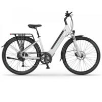 Flot Ecobike X-Cross elcykel med en Bafang baghjulsmotor og 9 udvendige gear fra Shimano. X-Cross har integeret cykellygter, hydrauliske skivebremser og affjederet forgafler. Udover det har cykel lav indstigning, så man let kan stige på og af cyklen.