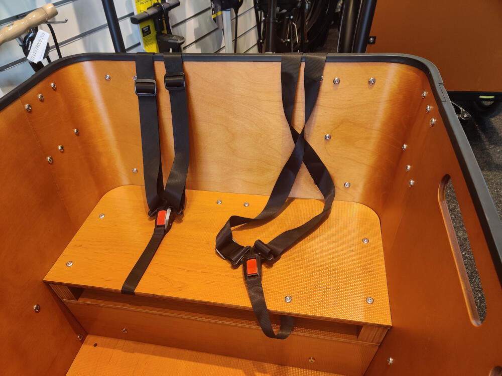 Transport af børn og voksne på el ladcyklen