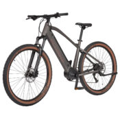 Ecobike SX300 Copper black