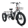 3-hjulet-elcykel-med-elmotor