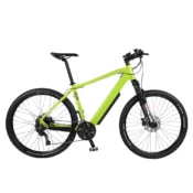 Batribike Delta 48 elcykel Light Green med Promovec baghjulsmotor
